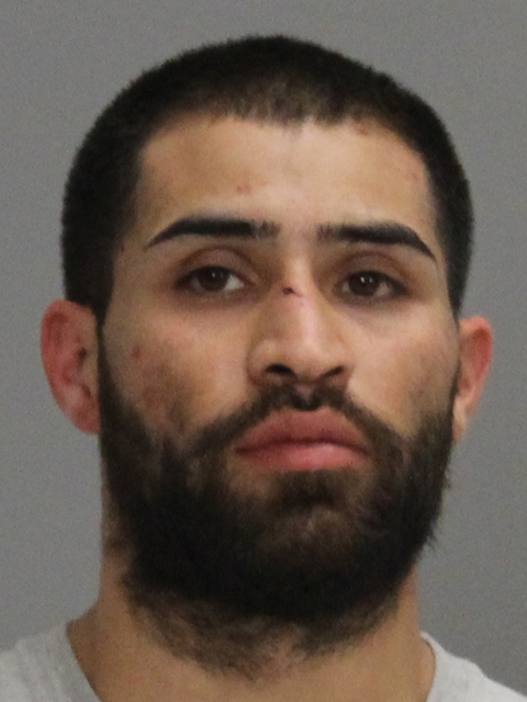 PINA, ARTURO DAVILA, Jr booking photo