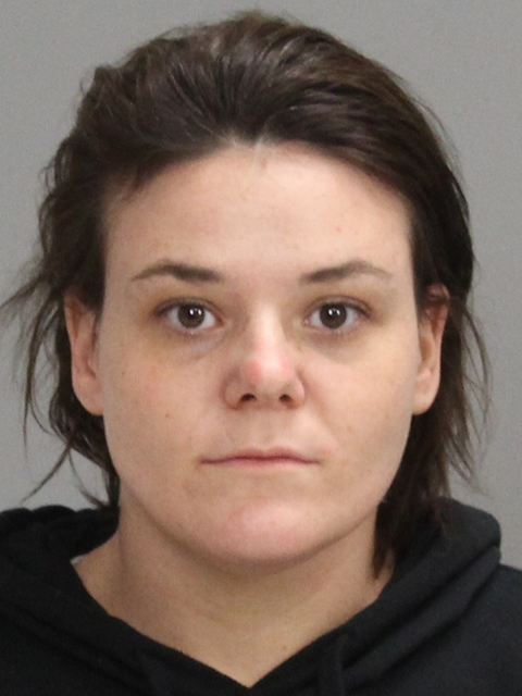 HORNBAKE, ASHLEY DIANE booking photo