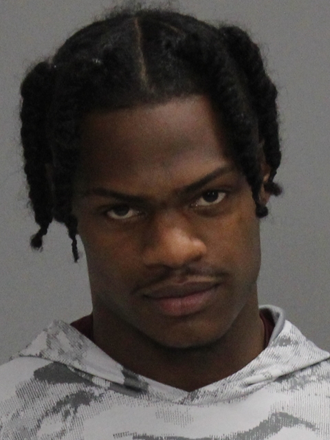 DEMAS, DEMOND TERELL booking photo