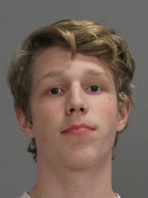 NELSON, LANDON MATTHEW booking photo