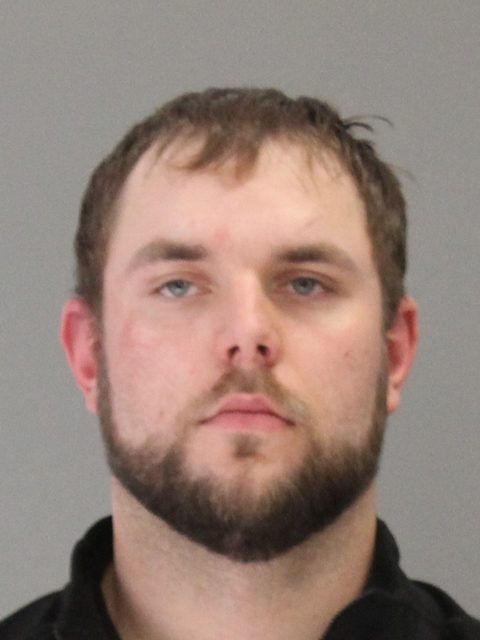 ARSENEAUX, ALEXANDER HENRI booking photo