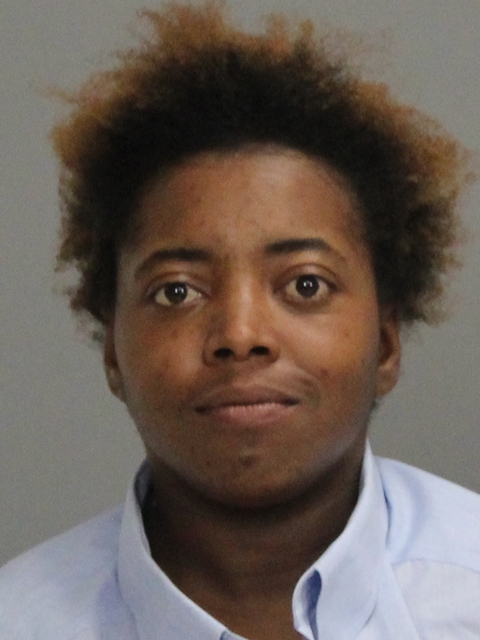 LEWIS, LASHONDA SHANTE booking photo