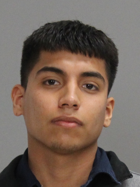 HERRERA-LOPEZ, DANIEL EDUARDO booking photo