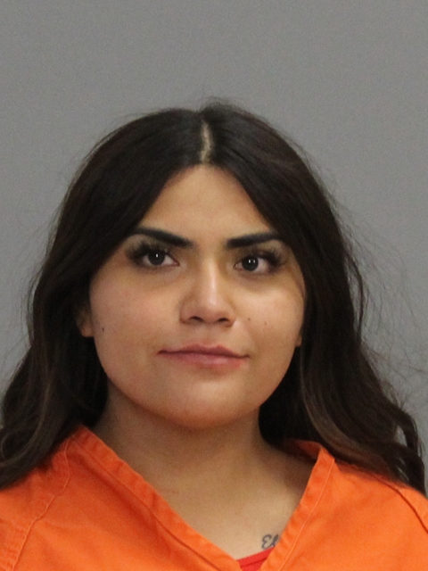 HERNANDEZ, KENNIA booking photo