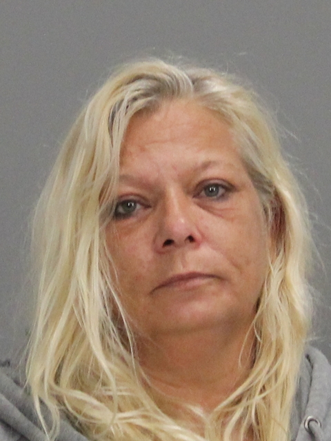 SEAGER, TONYA DIANE booking photo