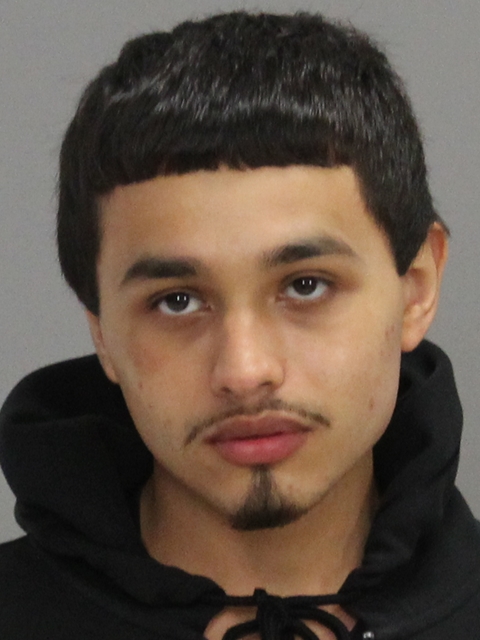 RAMIREZ, MARTIN DELEON booking photo