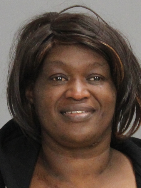 James, Shirley Jean booking photo