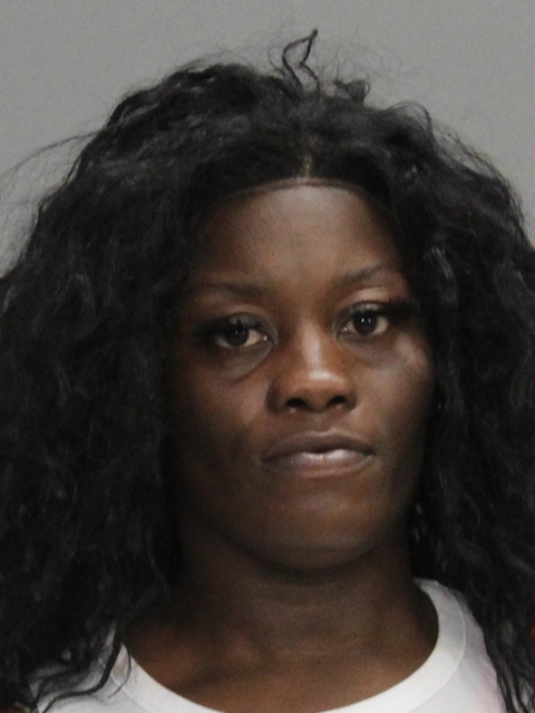 WILSON, ASHLEY NICOLE booking photo