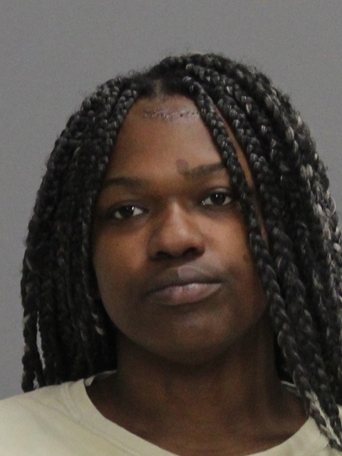PITTMAN, RYENESHA LORETTA booking photo