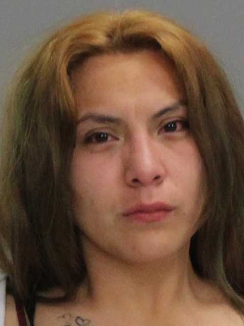 CRUZ, BRIANA NICHOLE booking photo