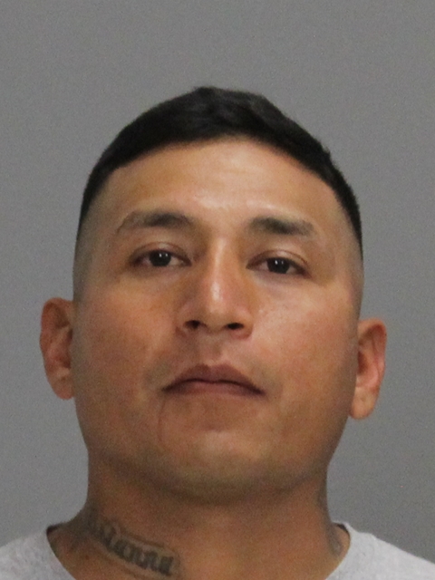 SALDANA, JULIAN HERNANDEZ, Jr booking photo