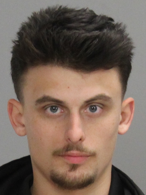 Mikel, Dylan Wayne booking photo