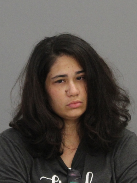 HERNANDEZ, ERIKA CARMEL booking photo