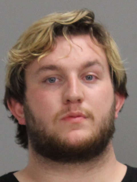 BRIGGS, CONNOR ROGER BROWN booking photo