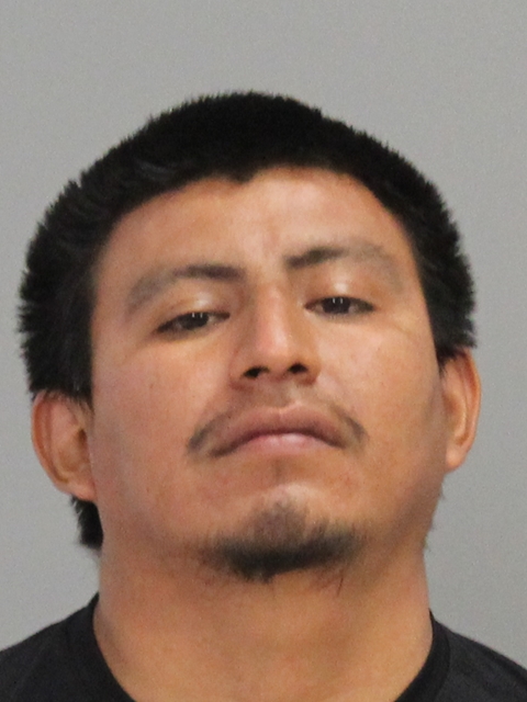 LOPEZ, FRANSISCO TOMAS booking photo