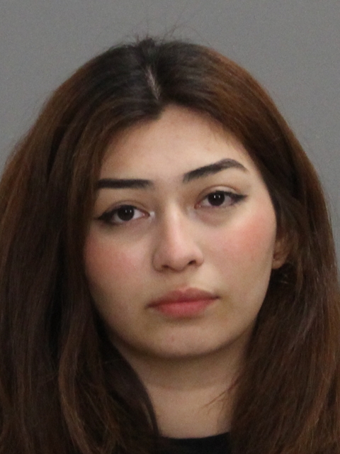 SARAVIA CORTES, GABRIELA ANDREA booking photo