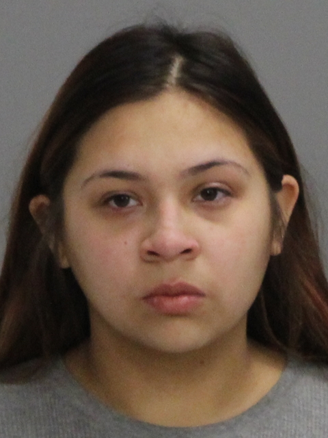 GUEVARA, FRANCES MARIE booking photo