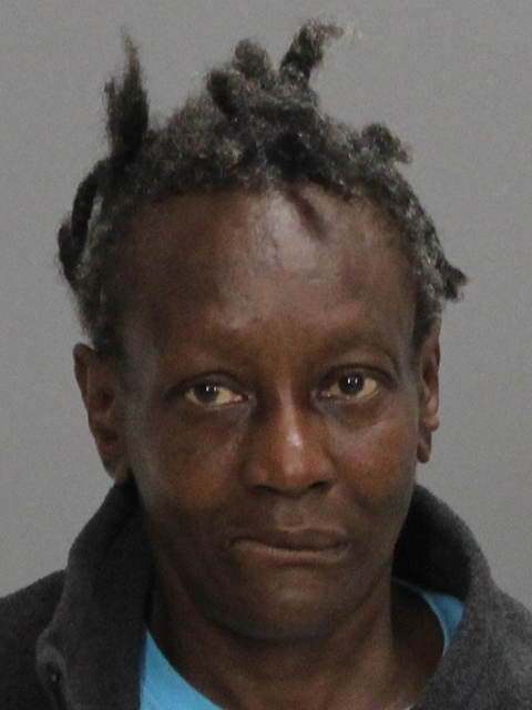 WEBBER, SHERRY MARIE booking photo