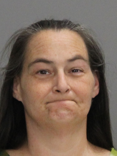 FOWLER, EMBERLY ANN booking photo