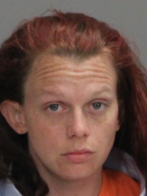 KELLEY, ASHLEY DAWN booking photo