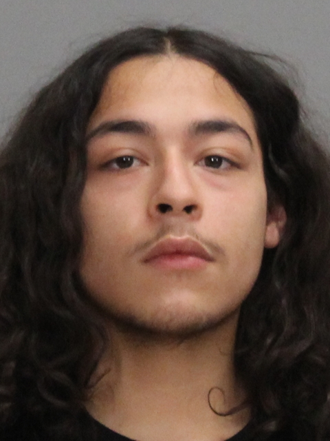 ALMANZA, ROBERT, Jr booking photo
