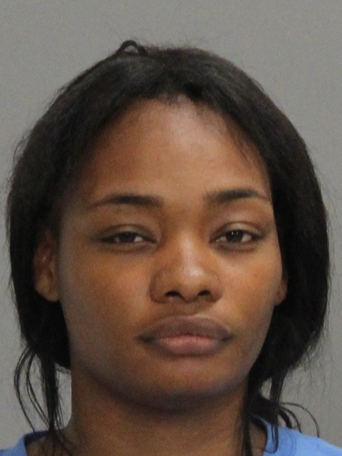 JOHNSON, DASHUA ANNETTE booking photo