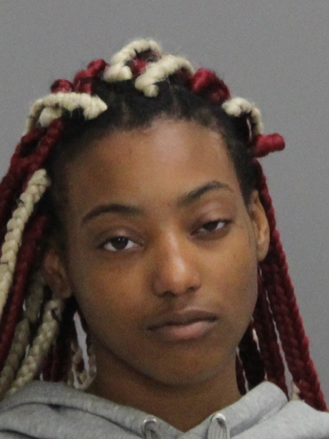 KING, DAIJA MONIQUE booking photo