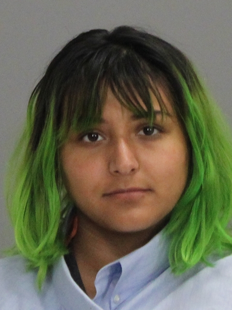 VARGAS, KAITLEN ARIANNA booking photo
