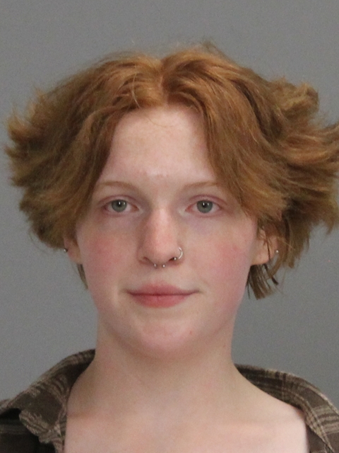 COLTHARP, HAYLEY DANIELLE booking photo