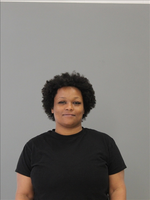 JOHNSON, SYLINNA NICOLE booking photo