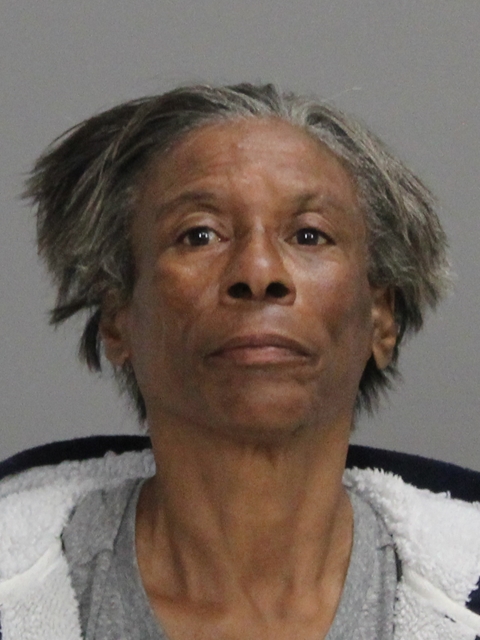 BROOKS, RHONDA RENE booking photo