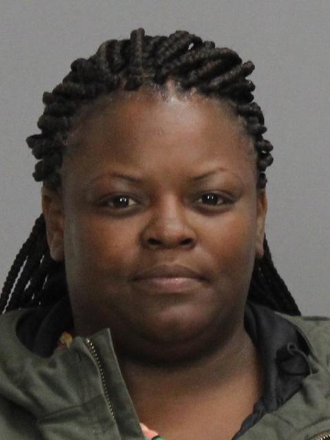 WILLIAMS, ERNESTINE LOUISE booking photo