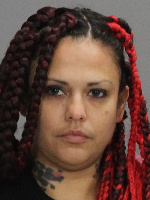 RAMIREZ, BECKY ANN booking photo