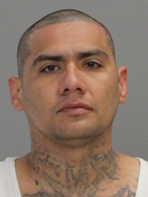 DELEON, JOEL booking photo