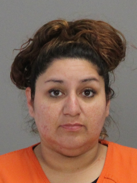 DELEON, JUDY booking photo