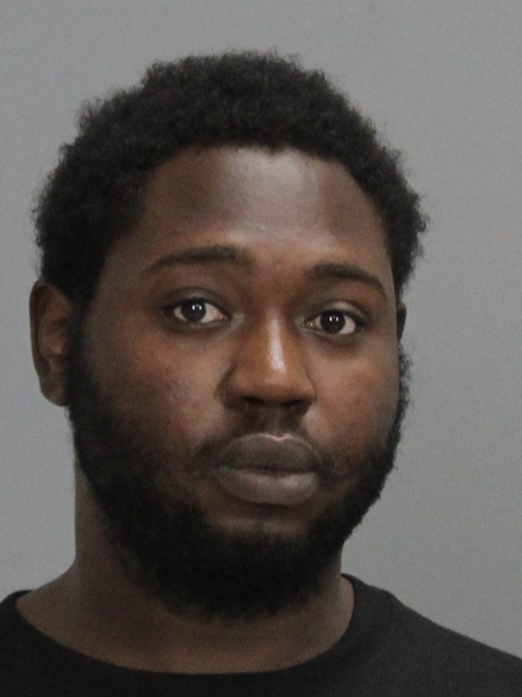 Johnson, Donshay Laquan booking photo