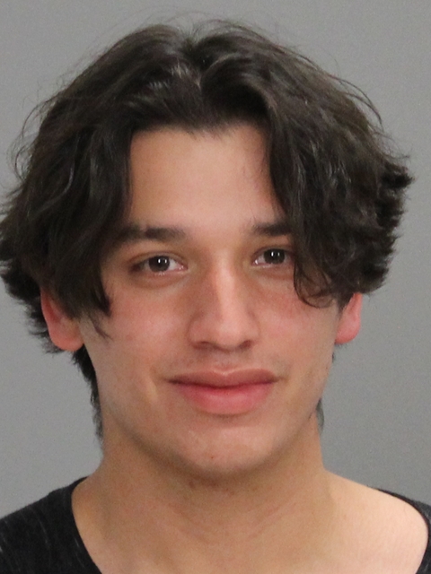 REYES LUIS, CARLOS GERARDO booking photo