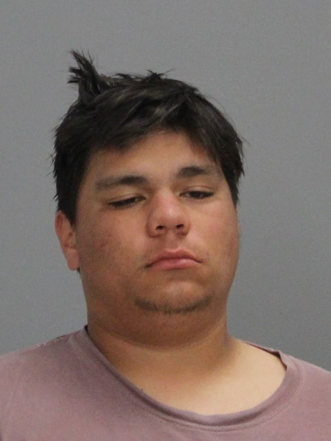 GOMEZ, ODILON LUKE booking photo