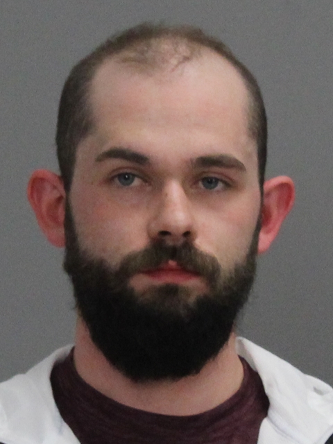 WEBB, MASON MONTGOMERY booking photo