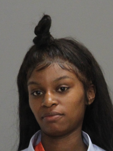 WILSON, CARMAN RENEE booking photo