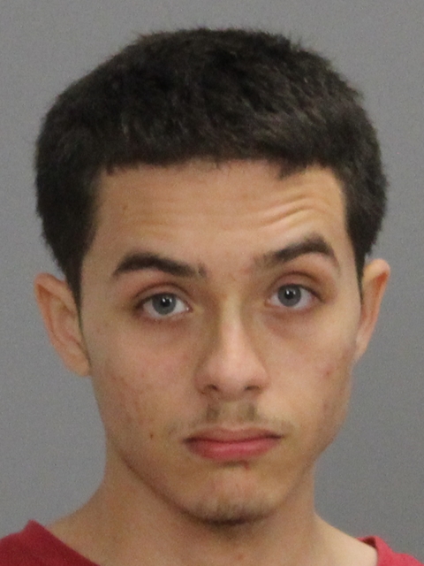 MARTINEZ, ANDREW SETH booking photo