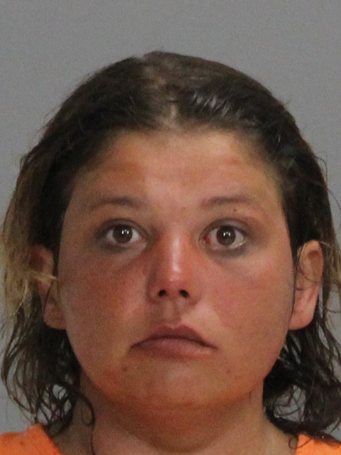 DOWNING, TERRI LYDIA booking photo