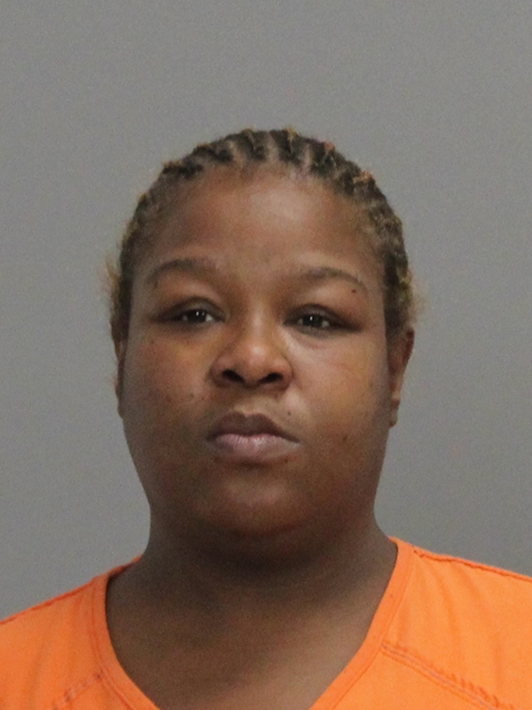 BRISCOE, RHONDA SIOBHAN booking photo