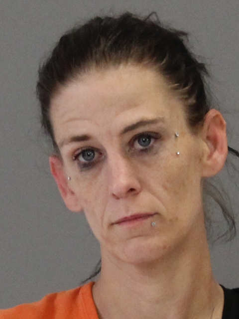 DAWSON, SONDRA LYNN booking photo