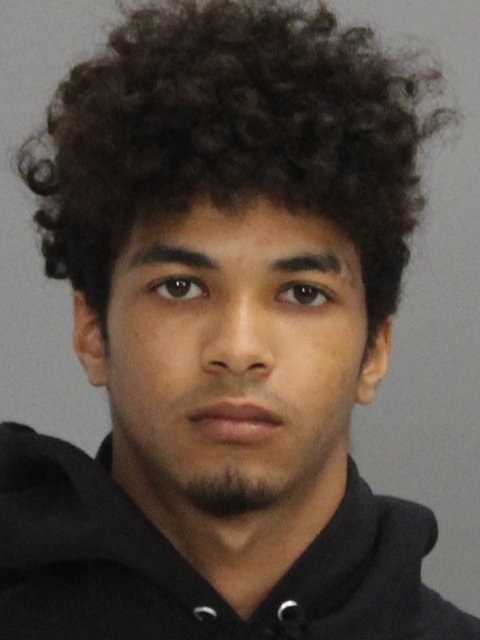 MCAFEE, CAMERON GAGE booking photo