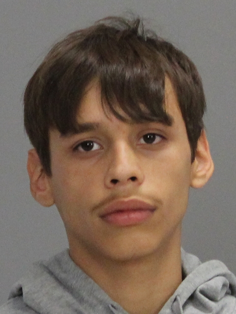 GONZALES, CHRISTIAN WILLIAM booking photo