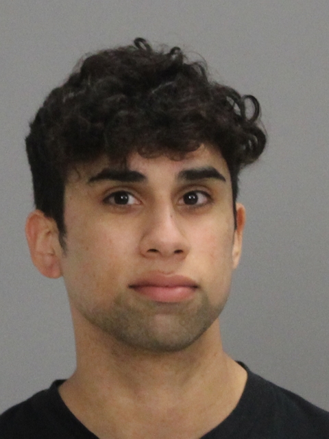 HERNANDEZ, MIKE CAPRIE booking photo