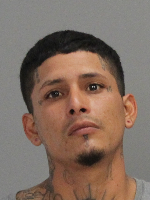 HERRERA, JACOB JOEL booking photo