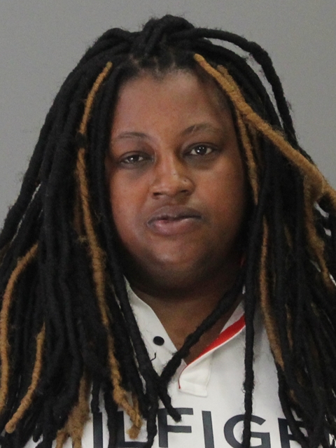 JOHNSON, KRISTEN NICOLE booking photo