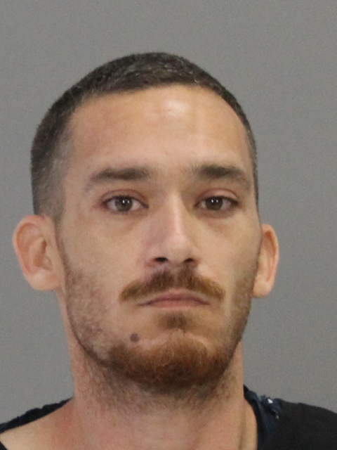 SPILDE, LEE REINERT booking photo